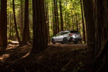 2021 Subaru Outback 21