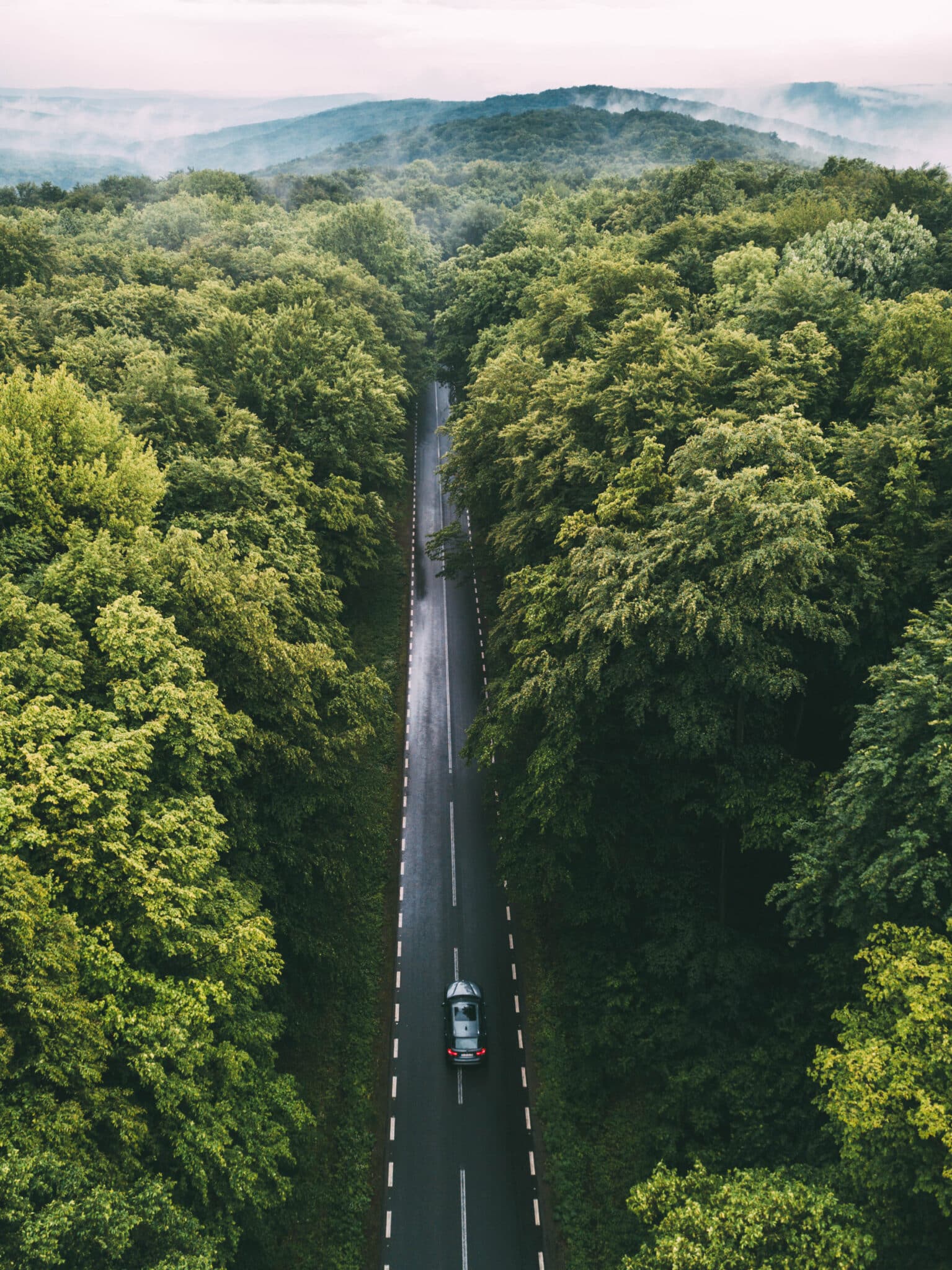 Car driving through forest scaled