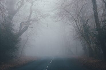 a haunted road enveloped in fog